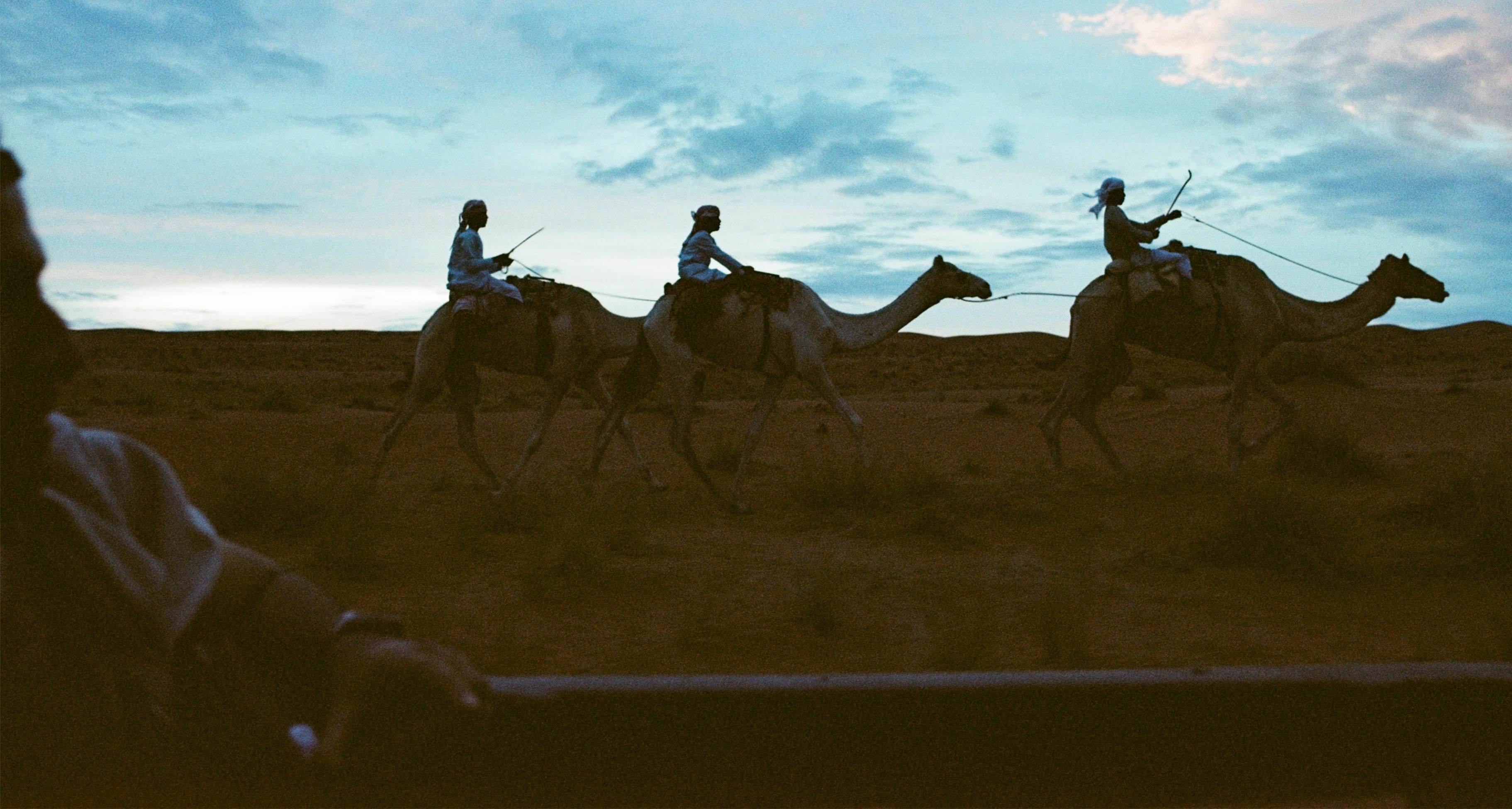 Dune Driving & Desert Flight